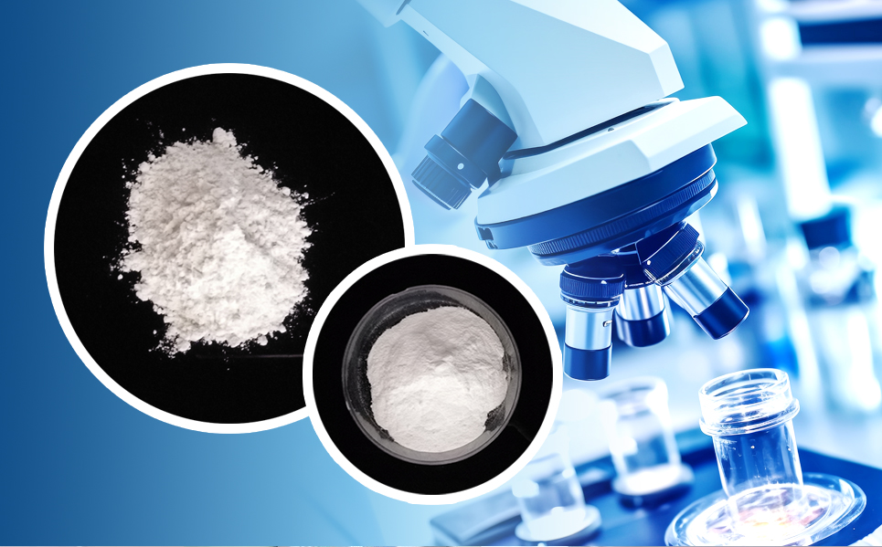 9888拉斯维加斯(中国游)官方网站